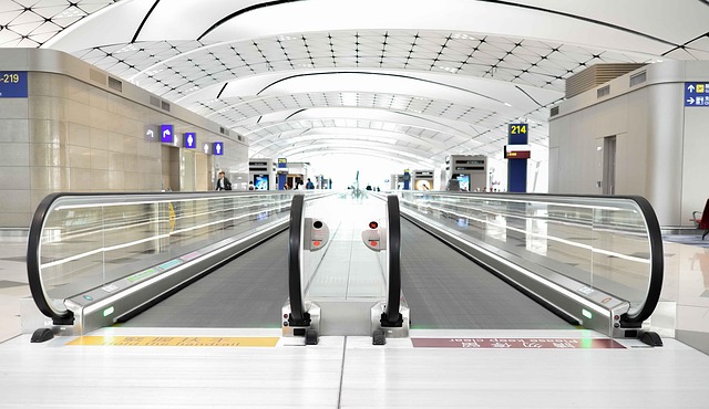 repatriação sanitária
