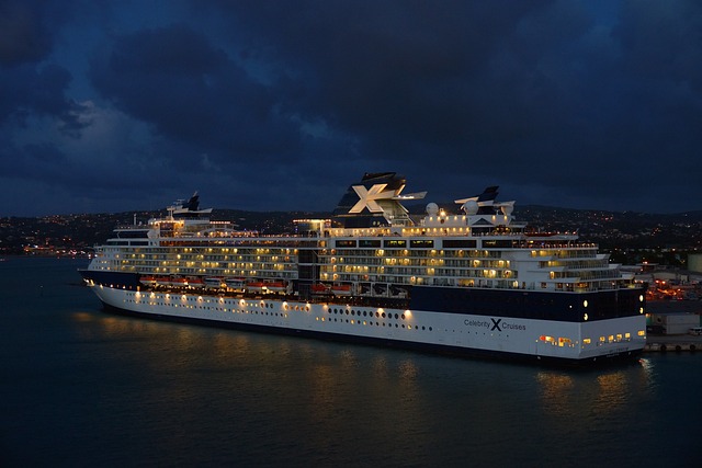 seguro viagem para cruzeiros