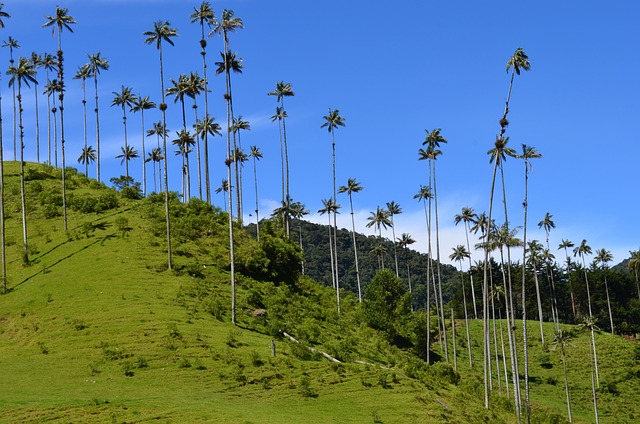 seguro viagem internacional