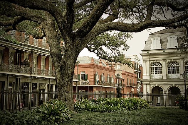 seguro viagem Nova Orleans
