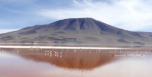 seguro viagem para Bolívia