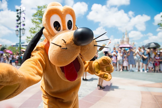 Seguro viagem Disney