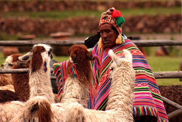 Seguro Viagem Peru