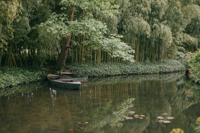 Seguro viagem Giverny