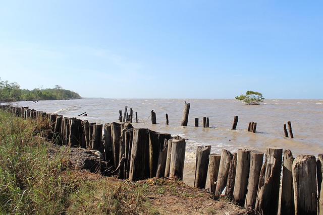 Seguro Viagem Suriname