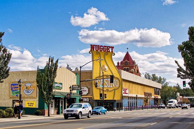 Seguro Viagem Carson City